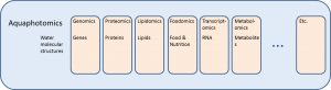 Aquaphotomics encompasses all other "omics" approaches