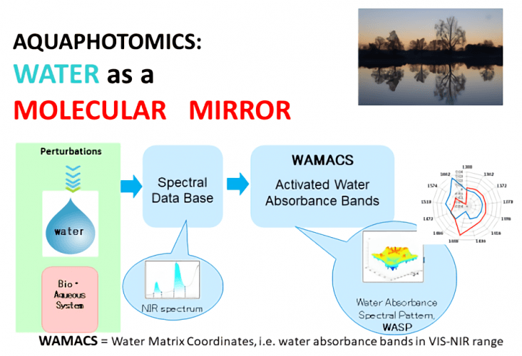 アクアフォトミクス - Water as a molecular mirro
